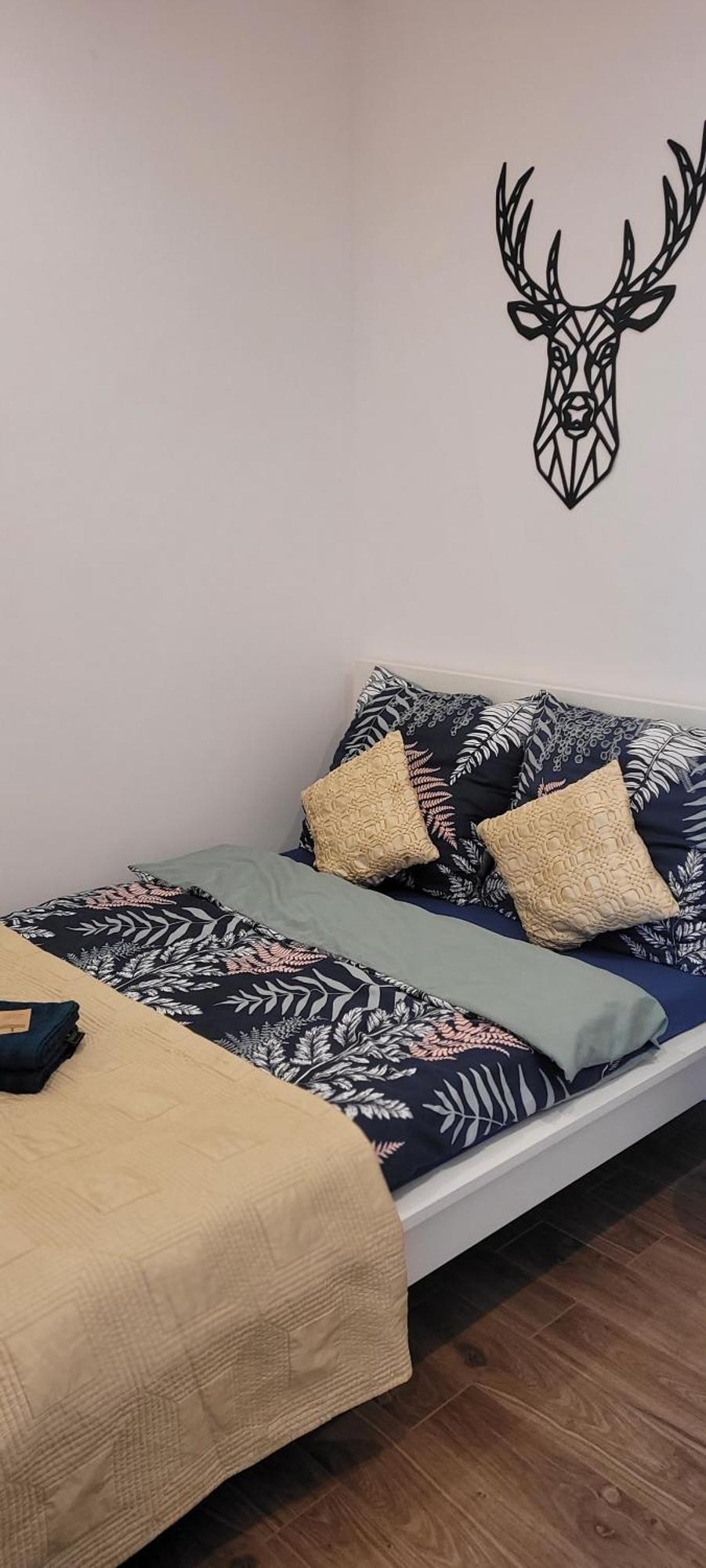 Apartament Z Historia Jelenia Gora Dış mekan fotoğraf